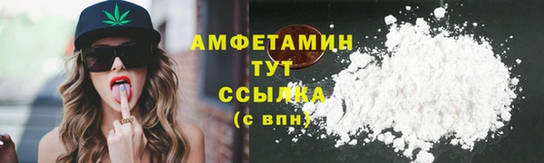соль ск Тайга