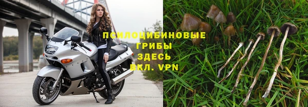гидра Лиски
