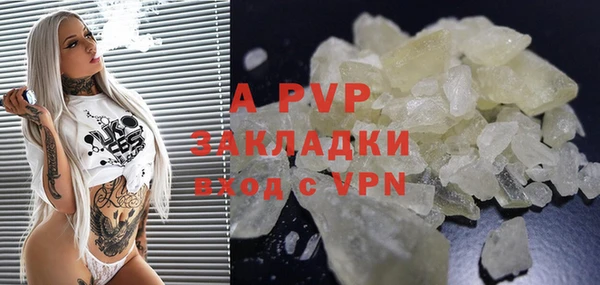 стафф Семилуки