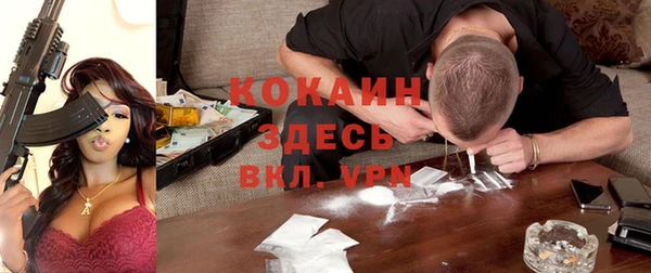 гидра Лиски