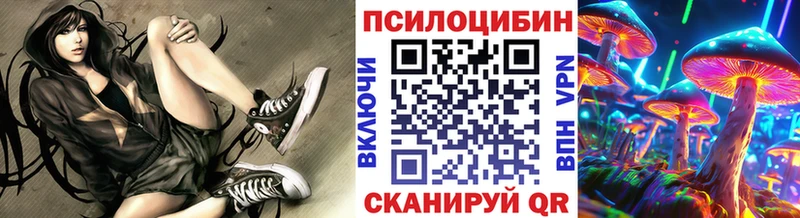 Псилоцибиновые грибы мицелий  Тогучин 